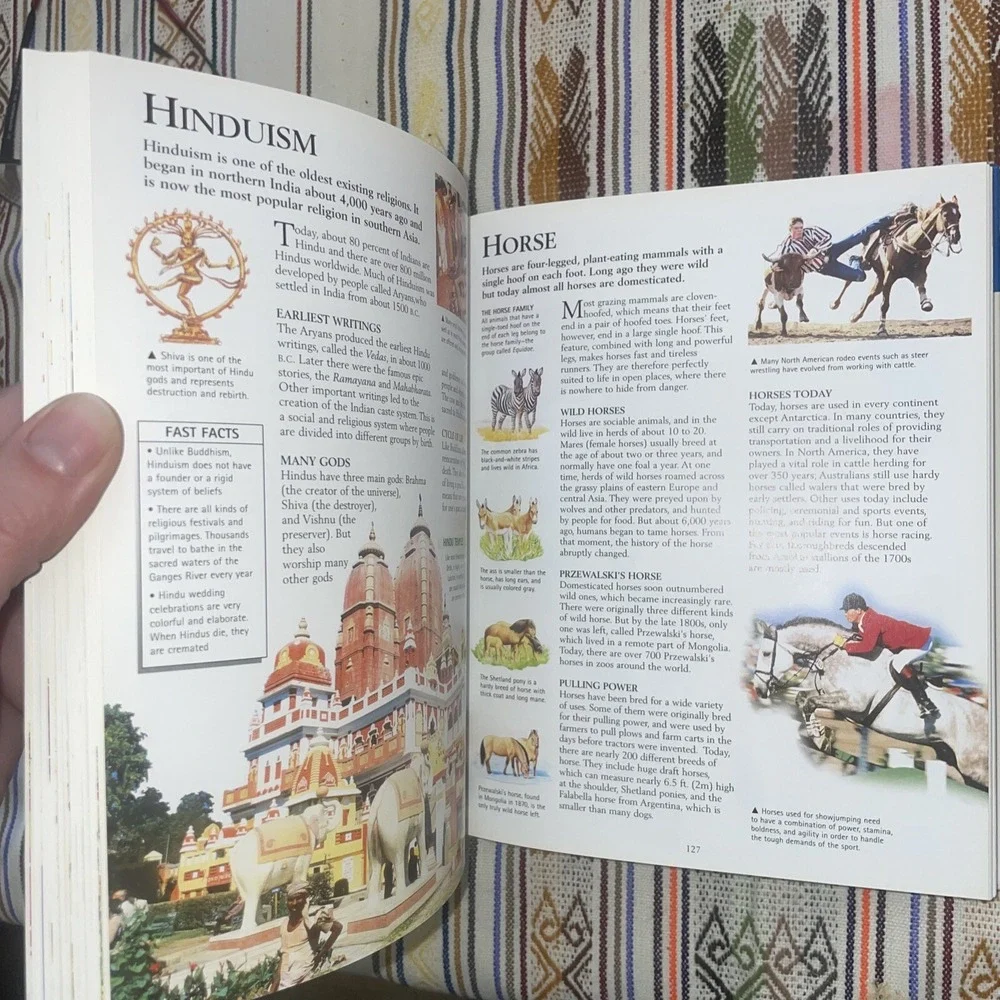 Concise Children's Encyclopedia by Editors of‎ Kingfisher (2001, Hardcover)